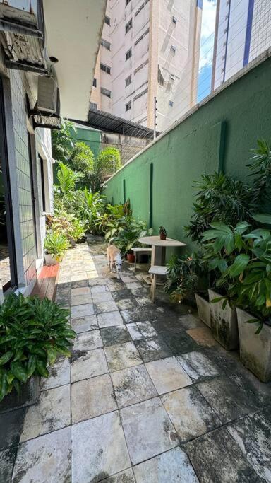 Jardim Iracema Apartment Fortaleza  Exterior photo