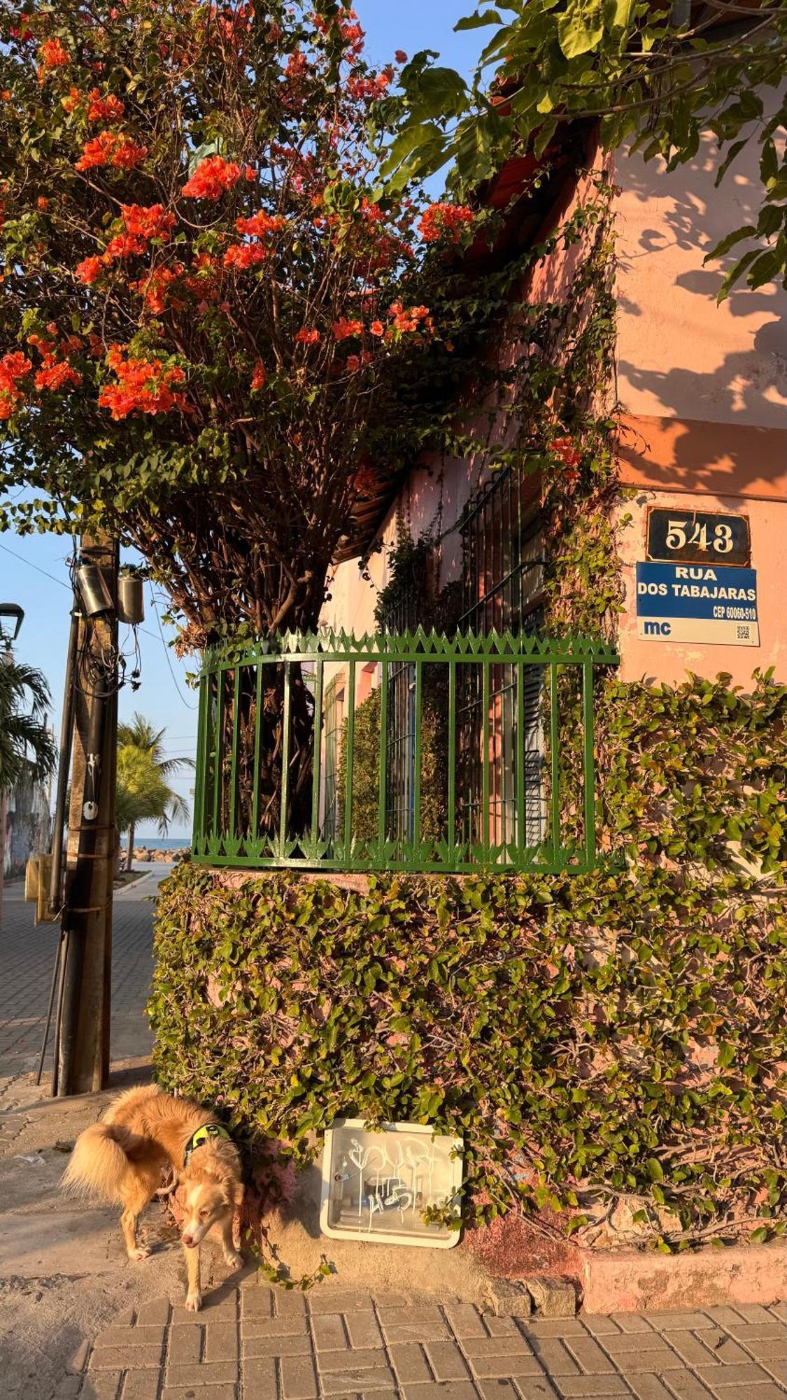 Jardim Iracema Apartment Fortaleza  Exterior photo